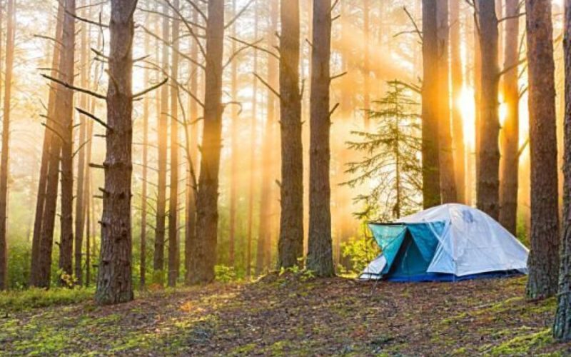 nortecamp-banner-camping